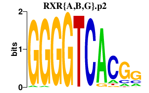 logo of RXR{A,B,G}.p2